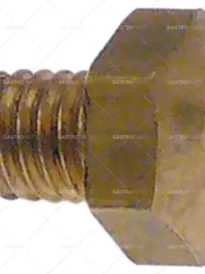 vstřikovač plynu závit m6x1 zemní plyn ws 10 otvor ø 1,25 mm Akční Cena
