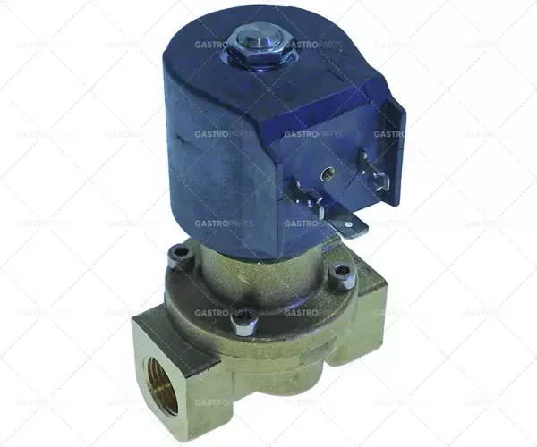 Vysoce Kvalitní Electroluxwt60nau 504151 - elektromagnetický ventil