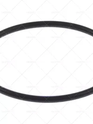 Poslední Šance O-kroužky Viton tloušťka materiálu 3,53mm číslo o 66,27mm jednotka 1 ks