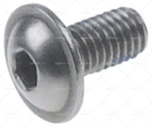 šroub závit M5 L 12,5mm SS Množství 1 ks sací šestihran 3mm hlava ø 11,3mm Dokud Zásoby Vydrží
