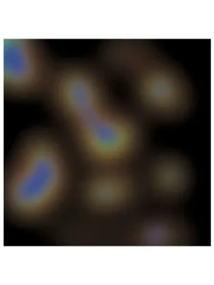 Reversible Liquid Crystal Polyester Film/Sheets - Maximum temperature 30°CMinimum temperature 35°CFeatures nonePack of 1 pc Levný