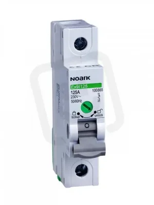 Instalační vypínač NOARK 102305 EX9I125 šířka 1 modul, 1pól, 25A Must-Have