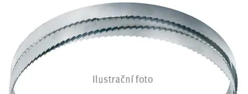 Nakupujte Hned Holzkraft Pilový pás 3865 × 13 mm (6 z) pro HBS 533 - PP3865130006DRE